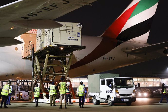 Haneda history-making: the first full cargo load of horses ever to land in Tokyos Haneda airport ready for the Tokyo 2020 Olympic Games Equestrian competitions.  FEI/Yusuke Nakanishi