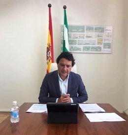 Archivo - Daniel Sánchez, delegado de Agricultura, Ganadería, Pesca y Desarrollo Sostenible en Cádiz