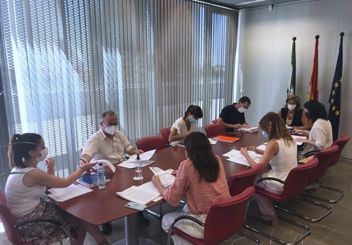 La Consejería de Transformación Económica, Industria, Conocimiento y Universidades durante la reunión para la aprobación de los incentivos.