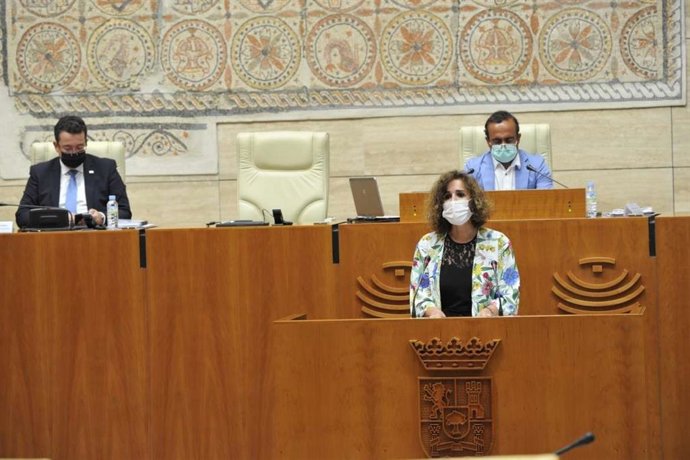 La consejera para la Transición Ecológica, Olga García, en su comparecencia en la Asamblea