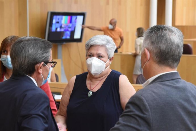 El pleno de la Diputación de Granada toma conocimiento de la renuncia de María Ángeles Blanco como diputada provincial