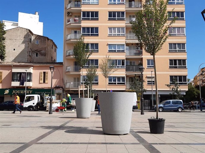 Cort instala ocho jardineras con hibiscus para mejorar el aspecto de la plaza del mercado de Pere Garau.