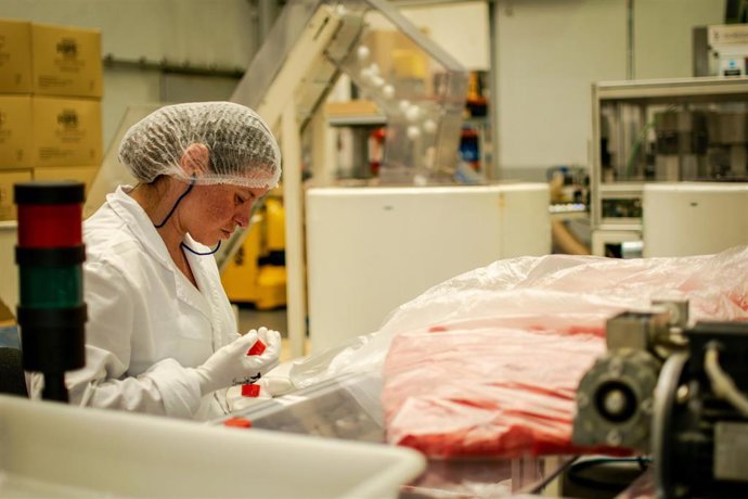 Archivo - Los centros especiales de trabajo emplean a personas con trastorno metal y discapacidad intelectual