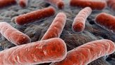 Foto: Las células humanas aprovechan el poder de los 'detergentes' para eliminar las bacterias