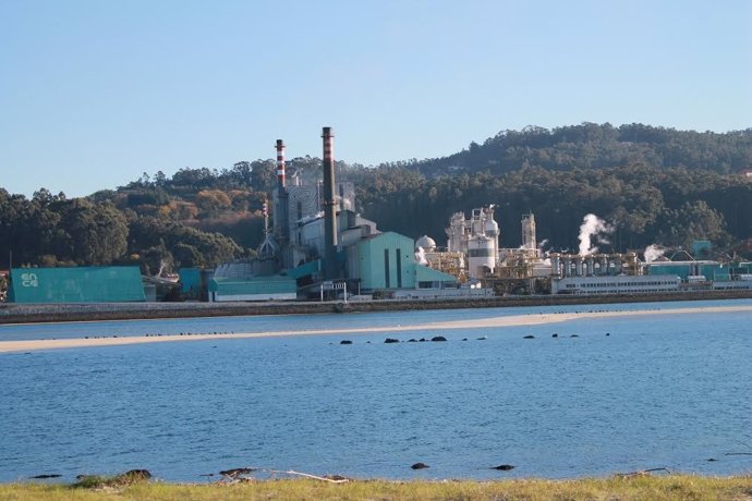 Archivo - Fábrica de Ence en Lourizán, en la ría de Pontevedra