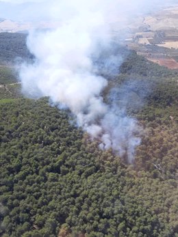 Incendio de Montellano