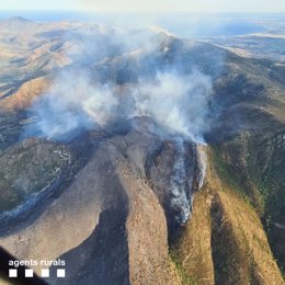 Incendi forestal entre Llan i Port de la Selva