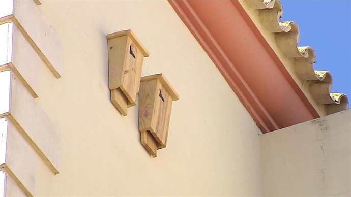 Refugios para murciélagos en Bollullos de la Mitación (Sevilla)