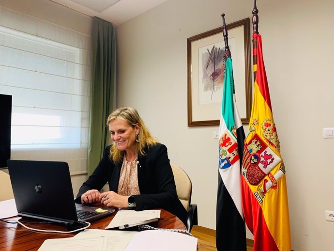 Archivo - La delegada del Gobierno, Yolanda García seco, en la videoconferencia