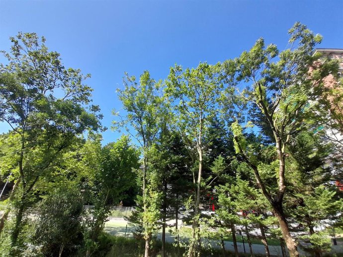 Cielo sin nubes, en Bibao