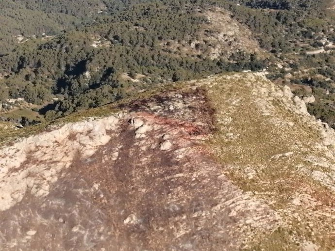 Imagen de la zona afectada por el incendio forestal declarado en el Coll de sa Gramola este sábado.