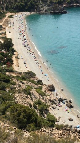 Playa del Cañuelo en los acantilados del Paraje Natural de Maro-Cerro Gordo, en Nerja (Málaga)