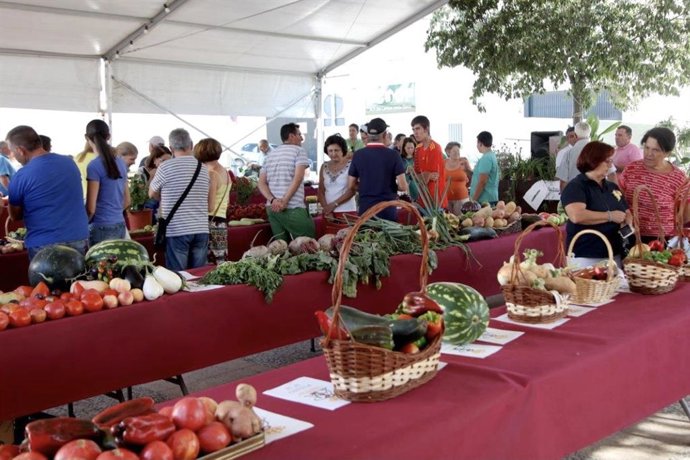 Concurso de hortalizas