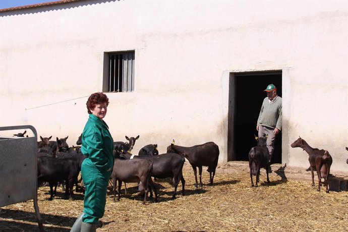 Archivo - Ganaderos con cabras