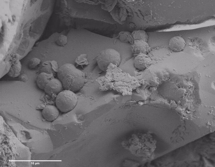 Imagen de electrones secundarios del condrule mineral en el meteorito de condrita carbonosa que revela inclusiones minerales esféricas. (micrografía electrónica)