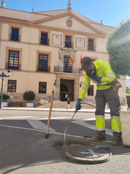 Control de plagas en Paterna