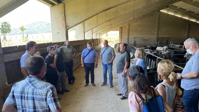 EAJ-PNV visita en Álava una explotación ganadera