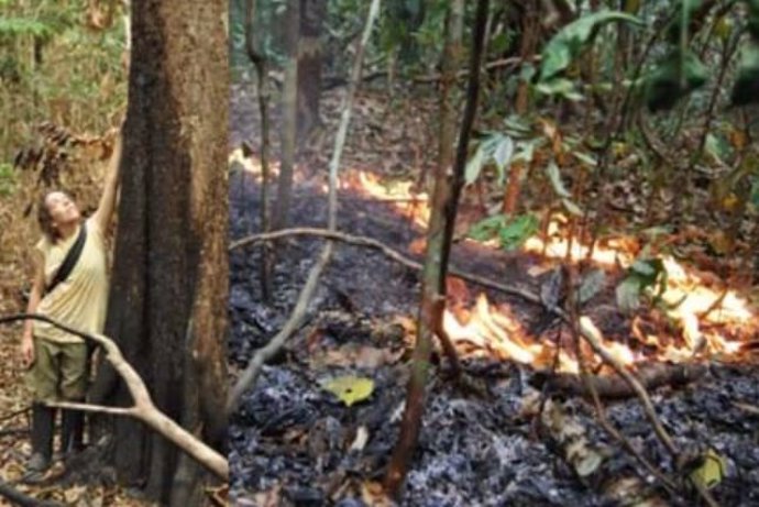 La Dra. Erika Berenguer, en un bosque amazónico recien quemado durante El Niño de 2015