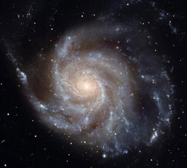 Una imagen de Messier 101, la Galaxia Molinillo, hecha con el Telescopio Espacial Hubble. Los grupos de color azul brillante en los brazos espirales son sitios de formación estelar reciente.