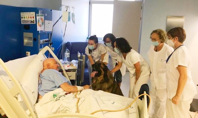 El complejo hospitalario universitario de Cartagena, integrado por los hospitales Santa Lucía y Rosell, inicia un protocolo que permite que pacientes ingresados con patologías severas y en situaciones terminales puedan solicitar recibir a su mascota