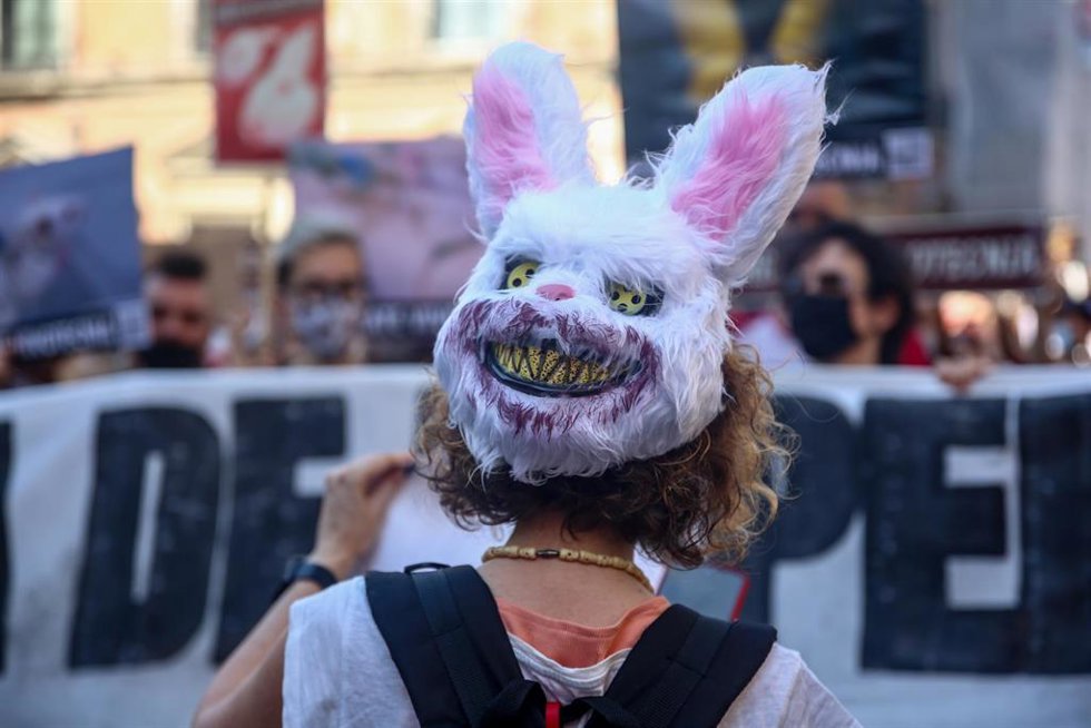 Archivo - Varias personas participan en una manifestación para exigir el rescate de los animales de Laboratorios Vivotecnia.