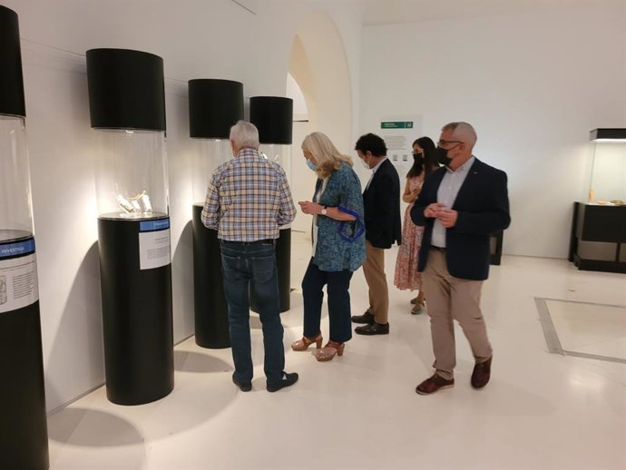 La delegada territorial de Cultura de la Junta de Andalucía en Cádiz, Mercedes Colombo, durante la presentación de la exposición 'Un museo con mucha historia'.