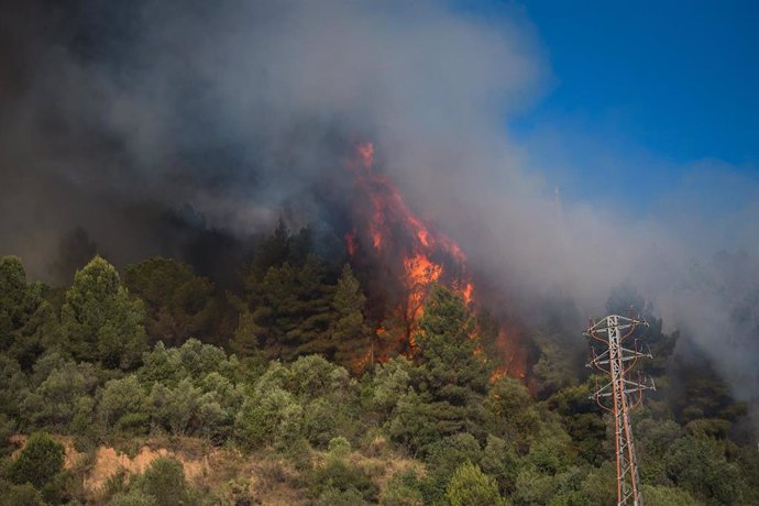 Incendio en las inmediaciones del polígono del Congost en Martorell (Barcelona), este mes de julio