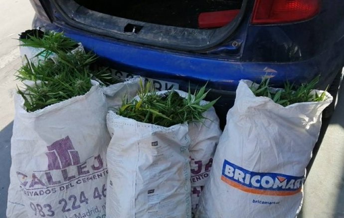 Sacos de marihuana que portaba el individuo en su vehículo.