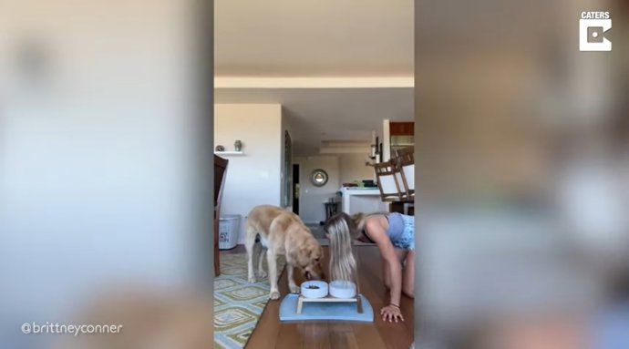 La dueña de este perro decide cambiar las tornas y hacer todas las cosas molestas que suele hacer