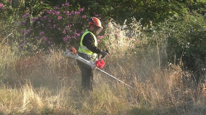 Tareas de desbroce para evitar incendios en Almonaster la Real.