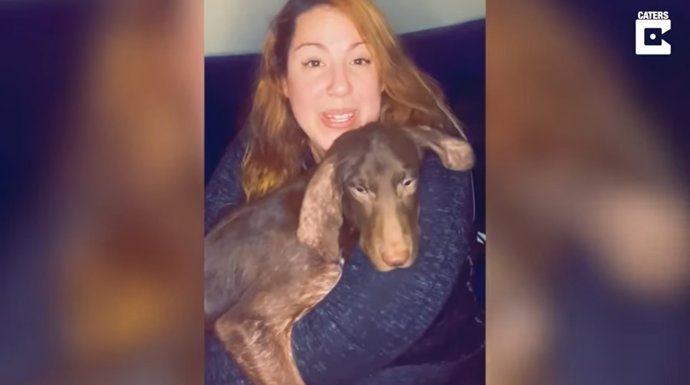 Dos cachorros callejeros enfermos tuvieron la suerte de encontrarse con una técnico veterinaria que les salvó la vida