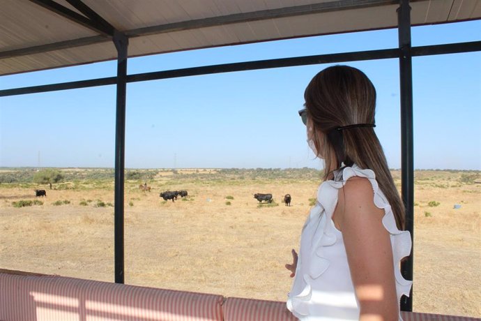 La delegada de la Junta en Huelva, Bella Verano, visita una finca de toro bravo.