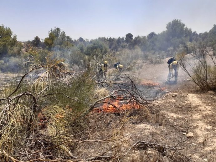 Incendio forestal en Cabra de Santo Cristo (Jaén)