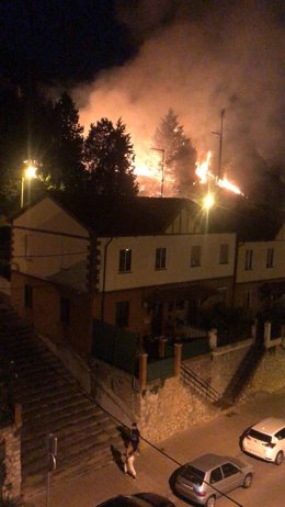Un aparatoso incendio en el cerro del Castillo.