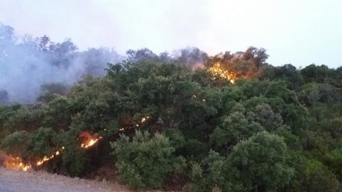 Incendio en El Garrobo
