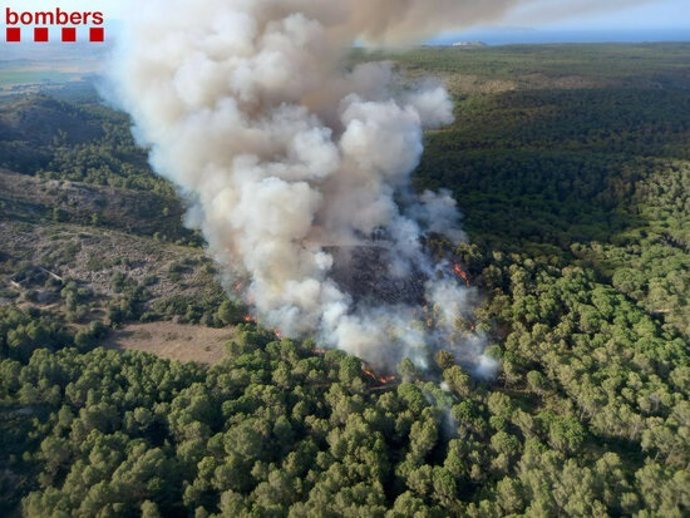 Los Bombers de la Generalitat  trabajan en un incendio de vegetación forestal en el macizo del Montgrí (Girona)