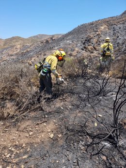 Imagen sobre el terreno, facilitada por la Unidad de Defensa contra los Incendios Forestales