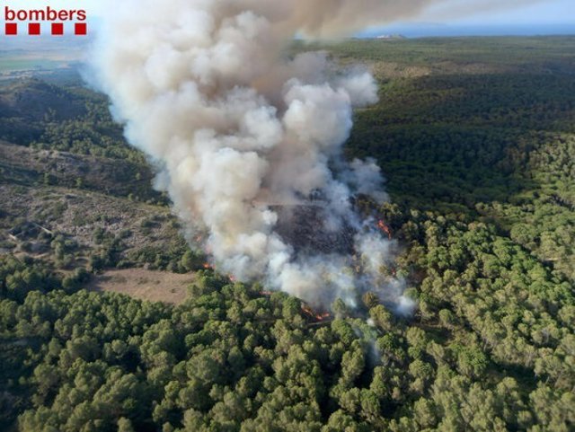 Incendi de vegetació forestal al massís del Montgrí