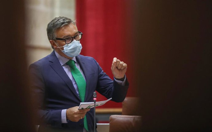 El portavoz del grupo parlamentario Vox, Manuel Gavira