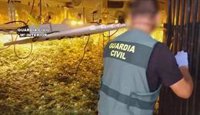 Detenidos los ocho miembros de un grupo dedicado al cultivo de marihuana en la provincia de Málaga