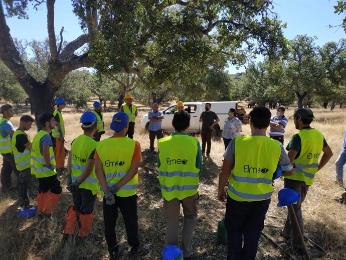 Este año la Escuela de Descorche ha desarrollado sus prácticas en un aprovechamiento de más de 144 mil kilos de corcho en 285 hectáreas.    