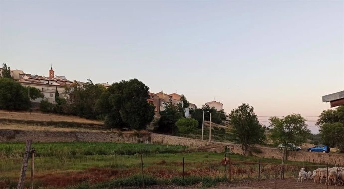 El PP solicita ayudas al Gobierno de Aragón para los ganaderos de explotaciones ovinas afectadas por brucelosis