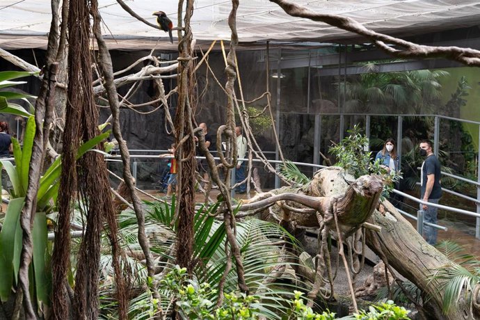 Un espacio del Biodomo del Parque de las Ciencias de Granada