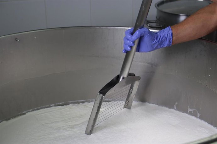 Archivo - Sector lácteo (leche)