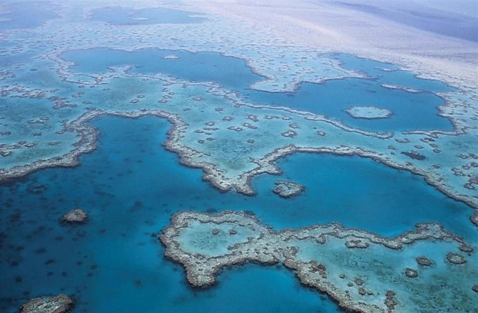 Archivo - La Gran Barrera de Coral australiana