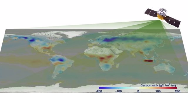 El primer mapa de flujo de carbono global derivado de la observación de TanSat.