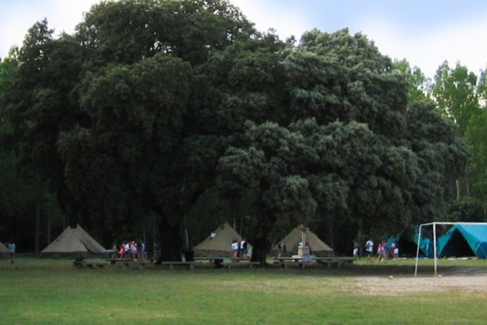 Campamento en La Vid (Burgos)