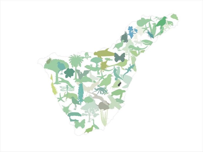 Archivo - Mapa sobre la biodiversidad de la isla de Tenerife