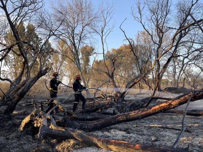 Bomberos de la Comunidad actúan en un incendio originado en Fuente El Saz de Jarama.