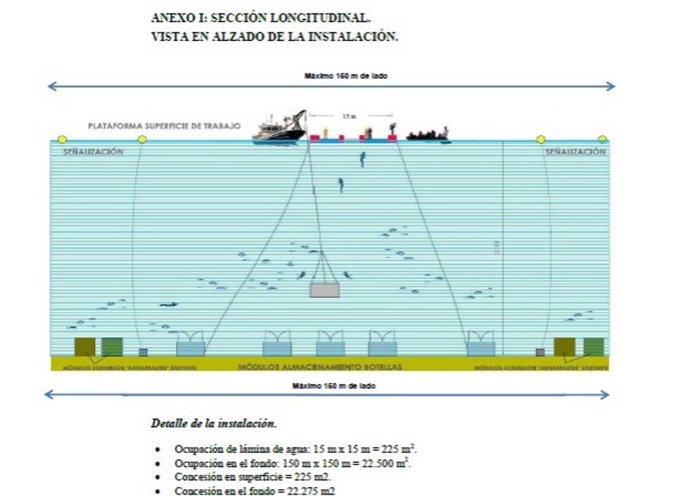 Gráfico que muestra la disposición de la bodega bajo el agua